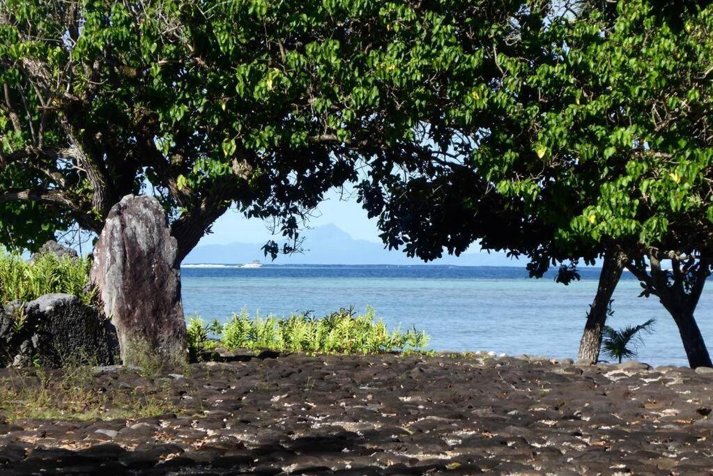 Raiatea, Opoa, Studio Du Fare Reve, Acces Mer Privatif Eksteriør bilde