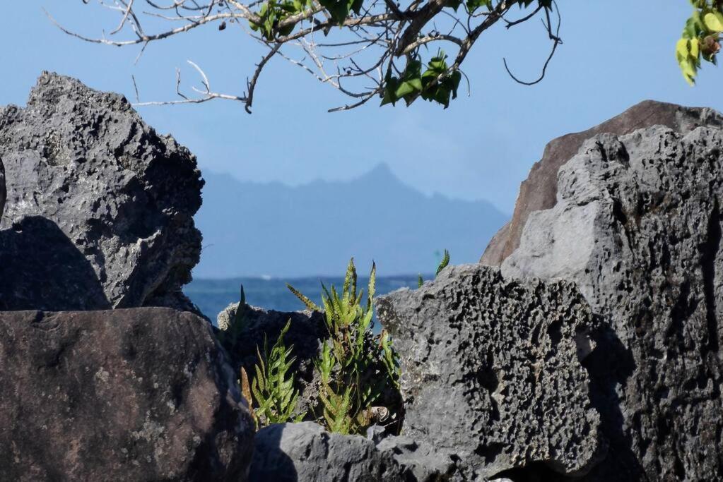 Raiatea, Opoa, Studio Du Fare Reve, Acces Mer Privatif Eksteriør bilde