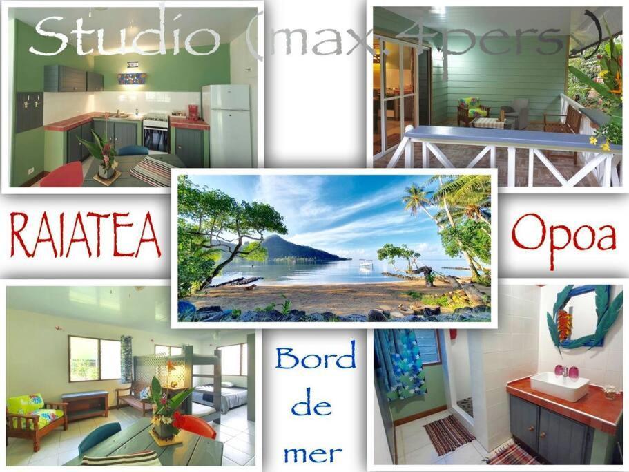 Raiatea, Opoa, Studio Du Fare Reve, Acces Mer Privatif Eksteriør bilde